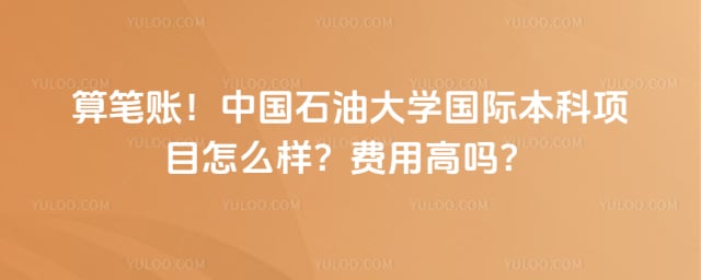 中国石油大学国际本科项目怎么样