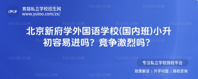 北京新府学外国语学校(国内班)小升初容易进吗