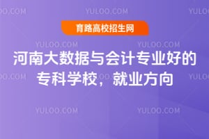 河南大数据与会计专业好的专科学校，就业方向