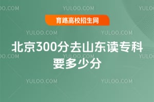 北京300分去山东读专科要多少分？
