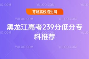 �������߿�239�ֵͷ�ר���Ƽ�