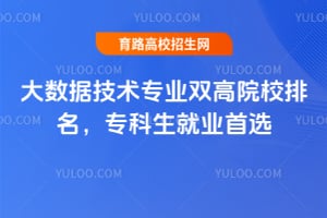 �����ݼ���רҵ˫��ԺУ������ר������ҵ��ѡ