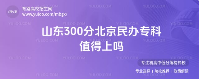 ɽ��300�ֱ������ר��ֵ������