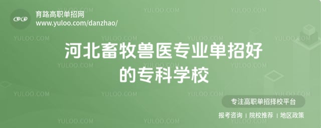 �ӱ�������ҽרҵ����