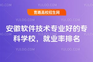 安徽软件技术专业好的专科学校，就业率排名