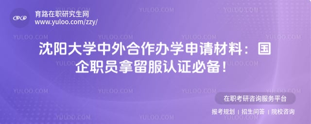 沈阳大学中外合作办学申请材料