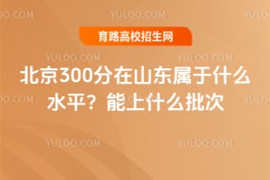 ����300����ɽ������ʲôˮƽ������ʲô���Σ�