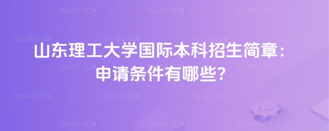 山东理工大学国际本科招生简章