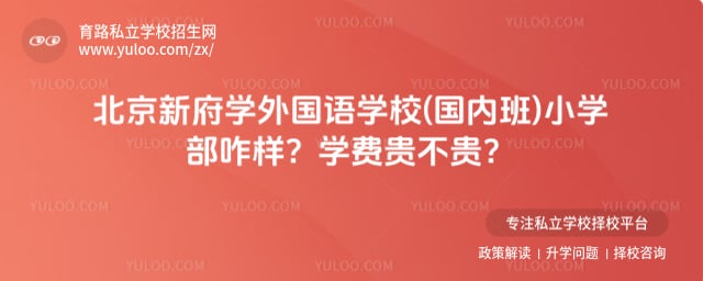 北京新府学外国语学校(国内班)小学部咋样
