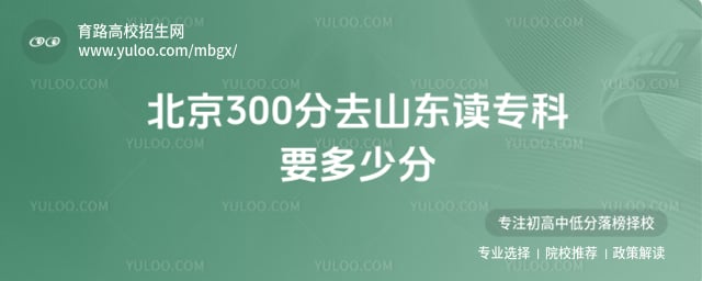 ����300��ȥɽ����ר��Ҫ���ٷ�