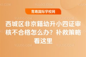 �������Ǿ�������С��֤��˲��ϸ���ô�죿2026�겹�Ȳ��Կ�����