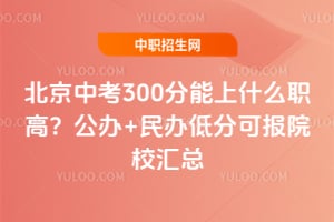 �����п�300������ʲôְ�ߣ�2026����+���ͷֿɱ�ԺУ����