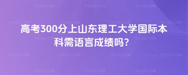 高考300分上山东理工大学国际本科