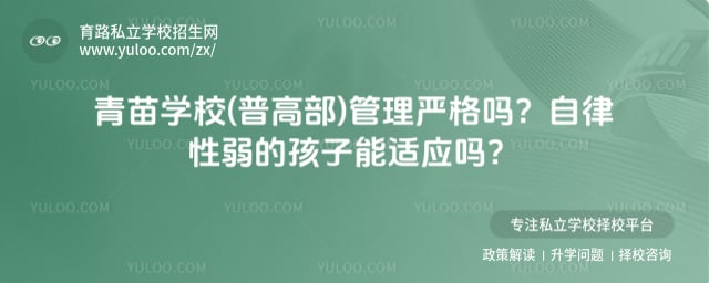 青苗学校(普高部)管理严格吗