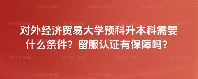 对外经贸预科升本科需要什么条件
