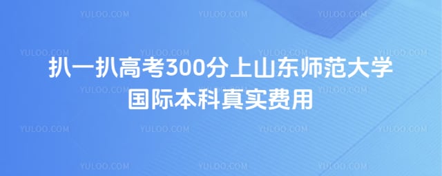 高考300分上山东师范大学国际本科