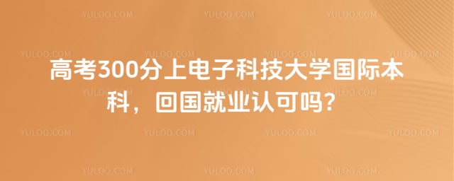高考300分上电子科技大学国际本科