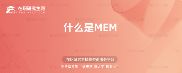 什么是MEM 什么是MEM
