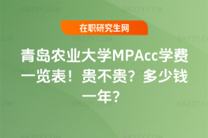 urIWMPAccWMһ[2026꣡FFXһꣿ