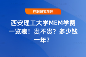 WMEMWMһ[2026꣡FFXһꣿ