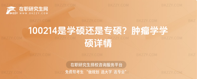 100214是學碩還是專碩 100214是學碩還是專碩
