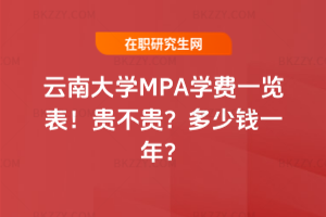 ϴWMPAWMһ[2026꣡FFXһꣿ