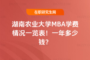 rIWMBAWMrһ[2026һX