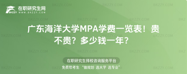 V|WMPAWMһ[2026FFXһꣿ