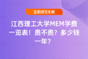 WMEMWMһ[2026꣡FFXһꣿ