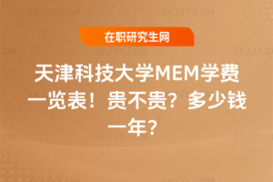 ƼWMEMWMһ[2026꣡FFXһꣿ