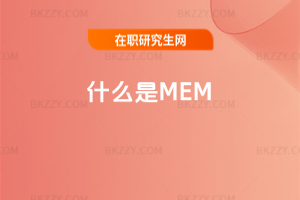 ʲôMEM