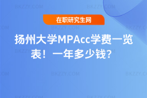 PݴWMPAccWMһ[2026꣡һX