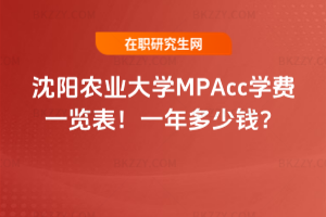 rIWMPAccWMһ[2026꣡һX