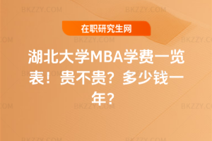 WMBAWMһ[2026꣡FFXһ