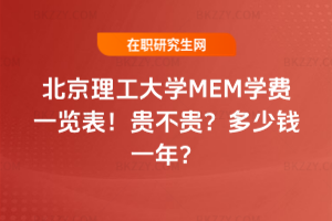 WMEMWMһ[2026꣡FFXһꣿ