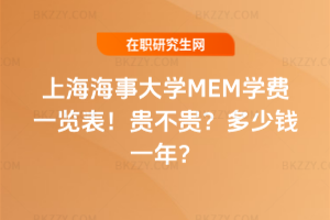 Ϻ´WMEMWMһ[2026꣡FFXһꣿ