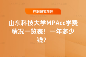 ɽ|ƼWMPAccWMrһ[2026꣡һX