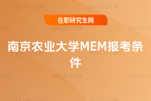 ϾrI(y)WMEM󿼗l2026