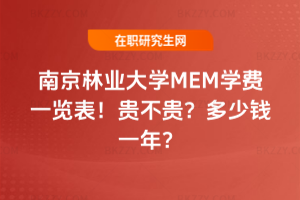 Ͼ֘IWMEMWMһ[2026FFXһ