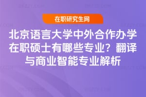 北京語言大學中外合作辦學在職碩士有哪些專業？翻譯與商業智能專業解析