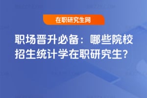 職場晉升必備：2026年哪些院校招生統計學在職研究生？