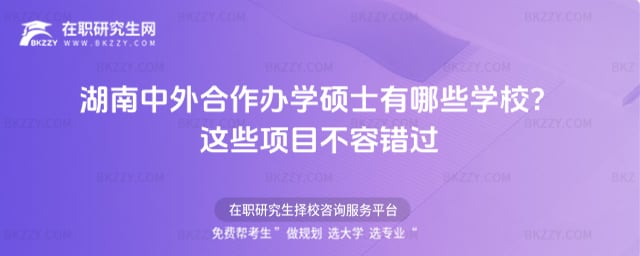 湖南中外合作辦學碩士有哪些學校
