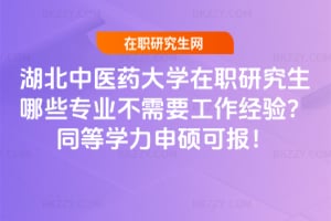 �������tˎ��W���о�����Щ���I����Ҫ������򞣿2026ͬ�ȌW����T�Ɉ�