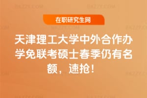 ���������W��������k�W�����Tʿ2026�����������~���ٓ���