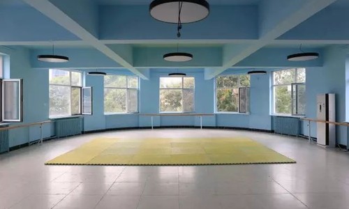 北京新學(xué)道臨川學(xué)校國際部