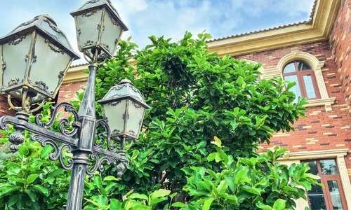 青苗學(xué)校(普高部)