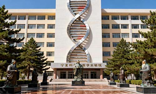 ����ҽ�ƴ�ѧ