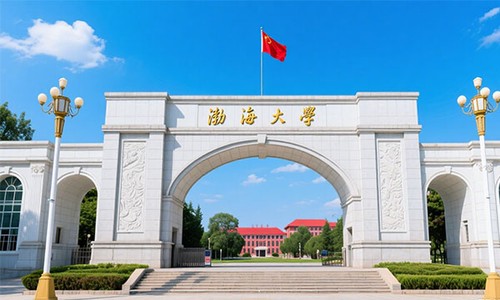 ������ѧ