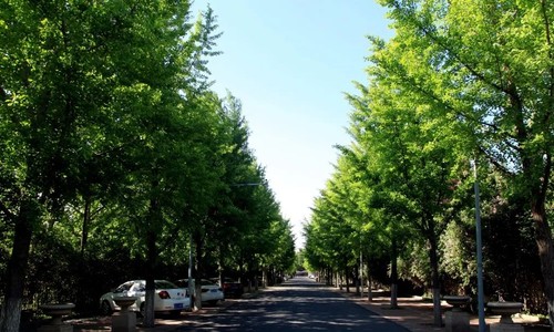 北京市师达中学