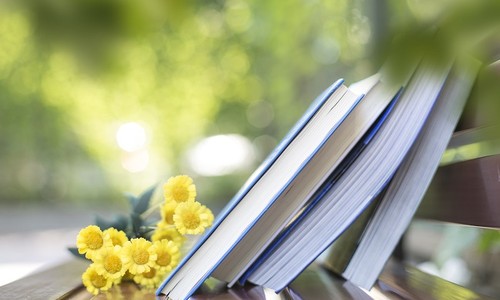 �����I���̴�W(xu��)���u�I(y��)��������